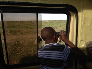 Mazera game-viewing in the Serengeti